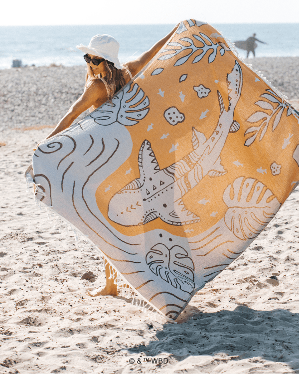 Monstera Shark Large – Discovery