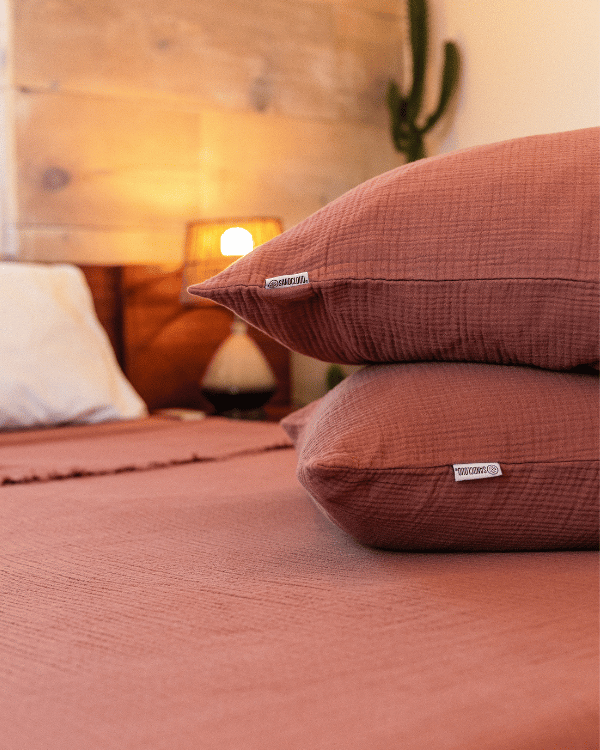 Sonoran Pillow Case 2 Pack – Terracotta