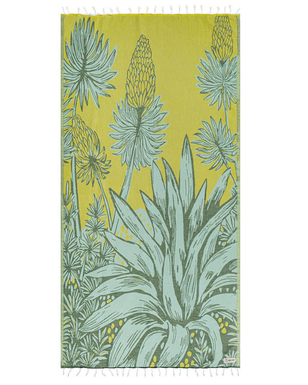 Swirl Turtle