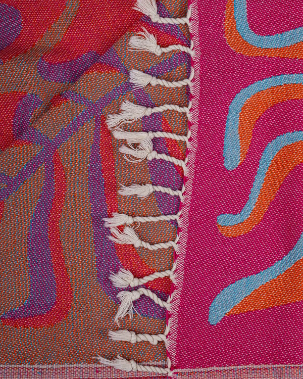 Painted Daisies Blanket