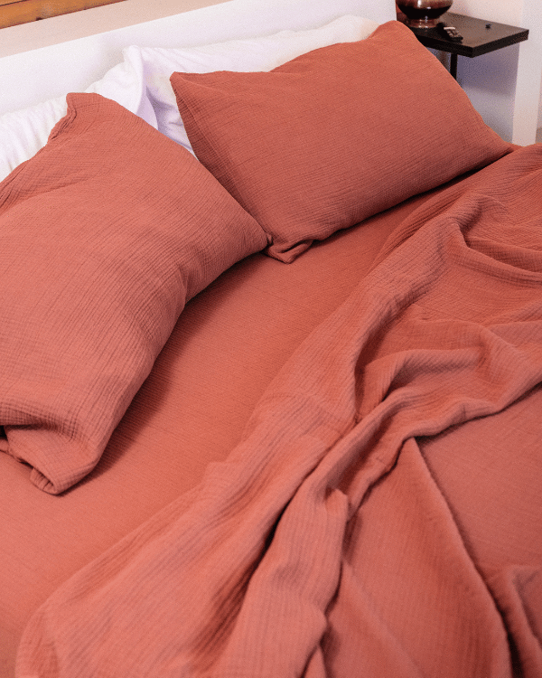 Sonoran Pillow Case 2 Pack – Terracotta