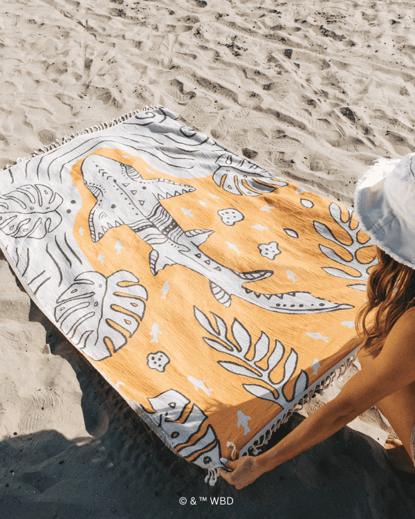 Monstera Shark Large – Discovery