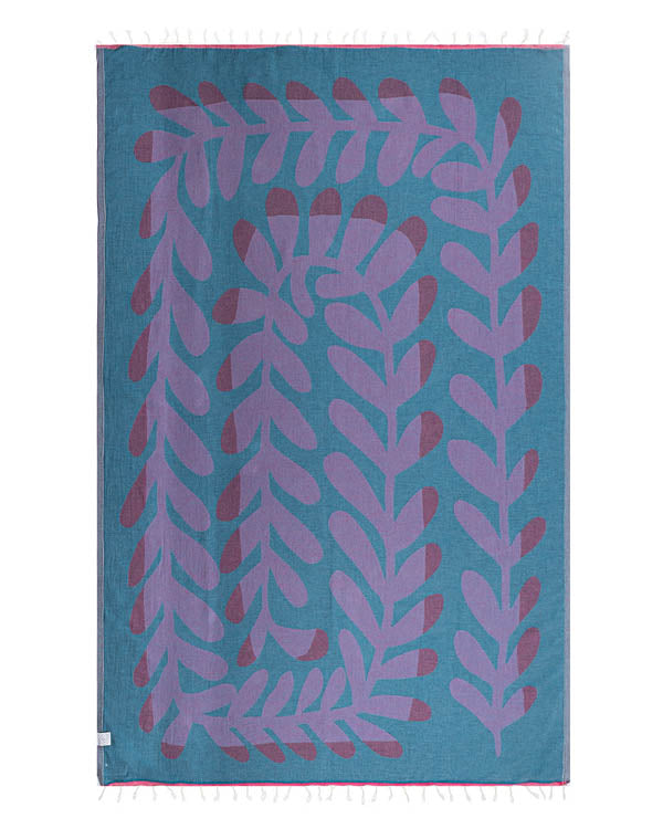 Kelp – Large