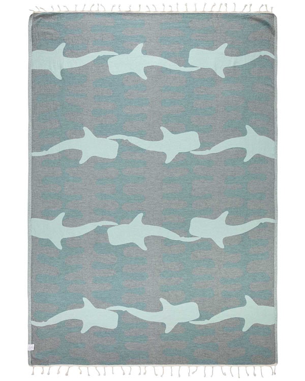 Frilled Shark – Large